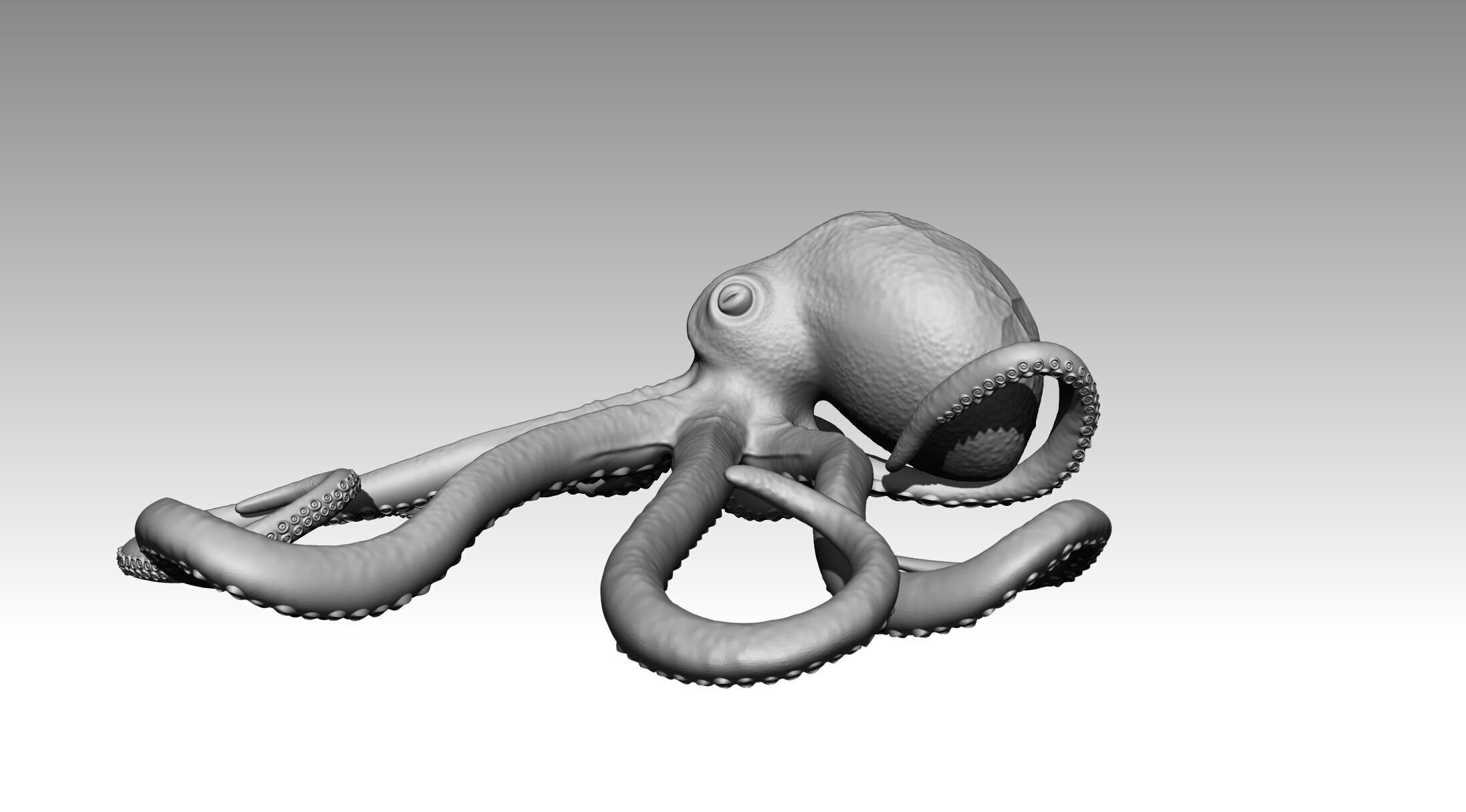 Octopus 3D print model_7