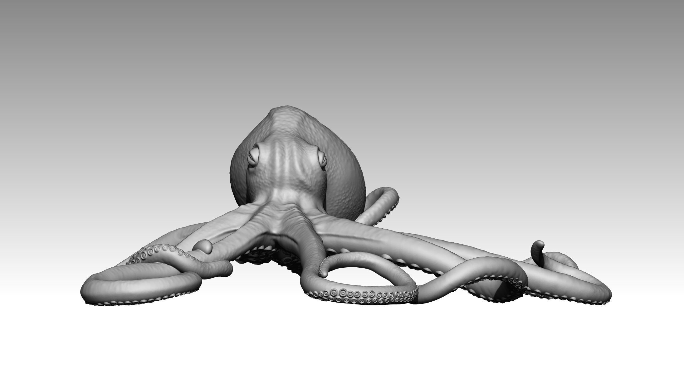 Octopus 3D print model_2