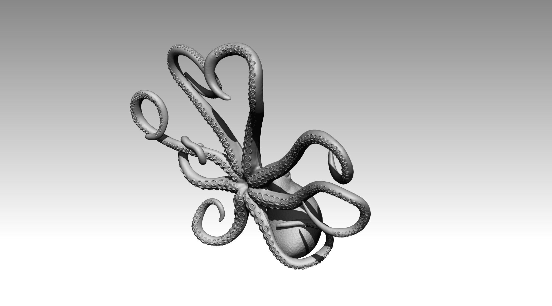 Octopus 3D print model_16