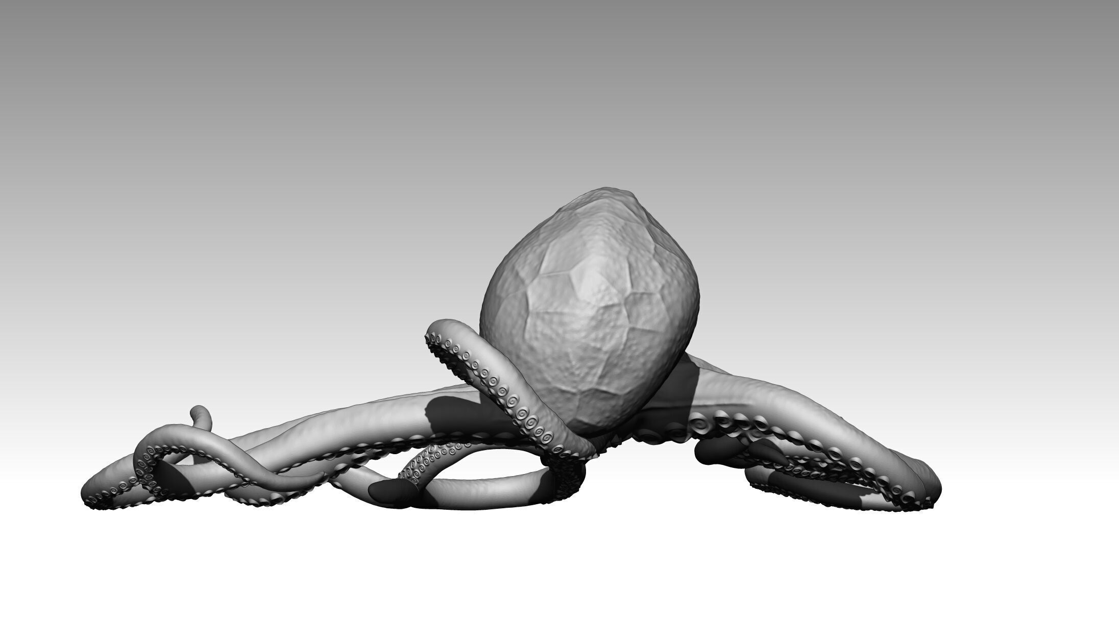 Octopus 3D print model_21