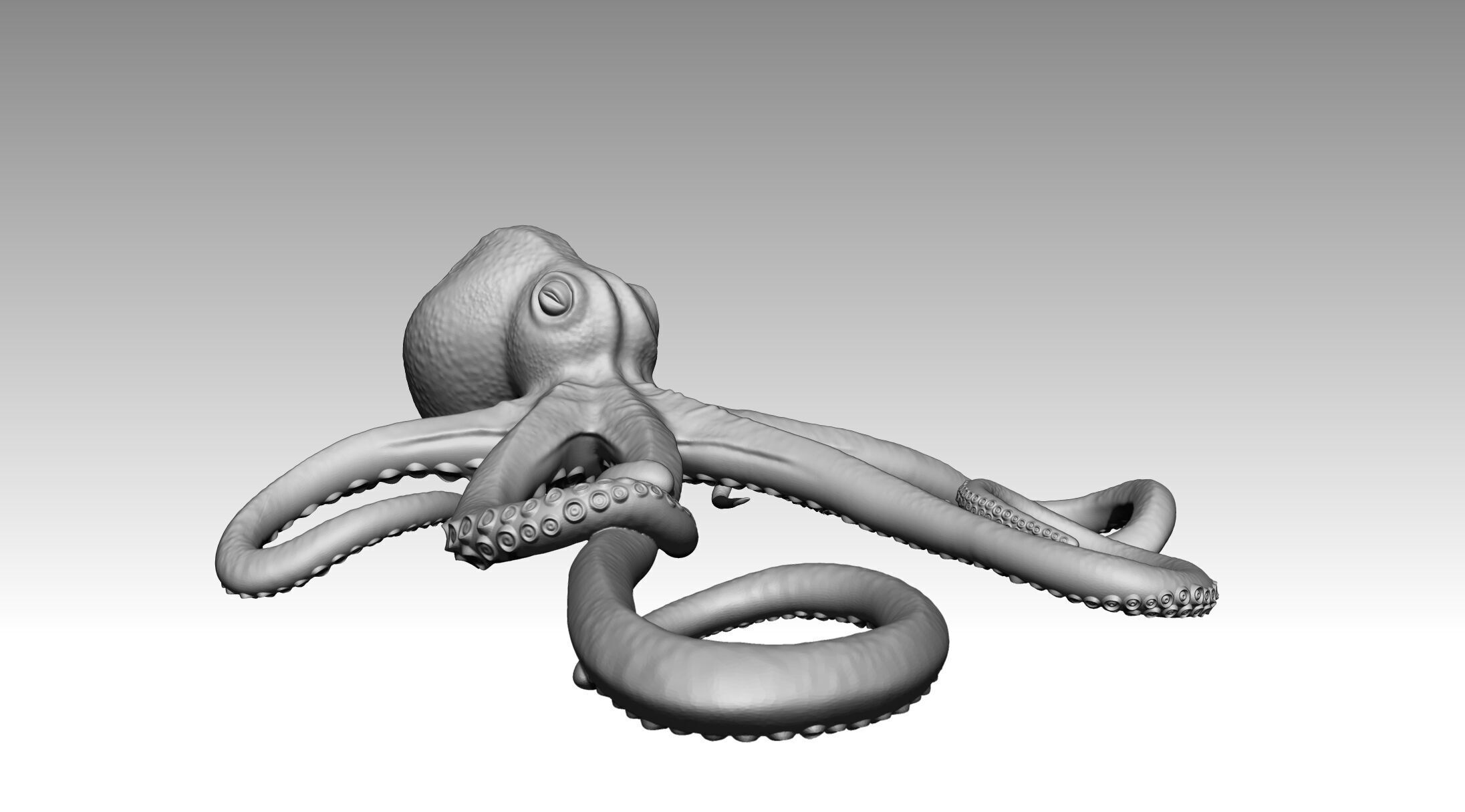 Octopus 3D print model_8