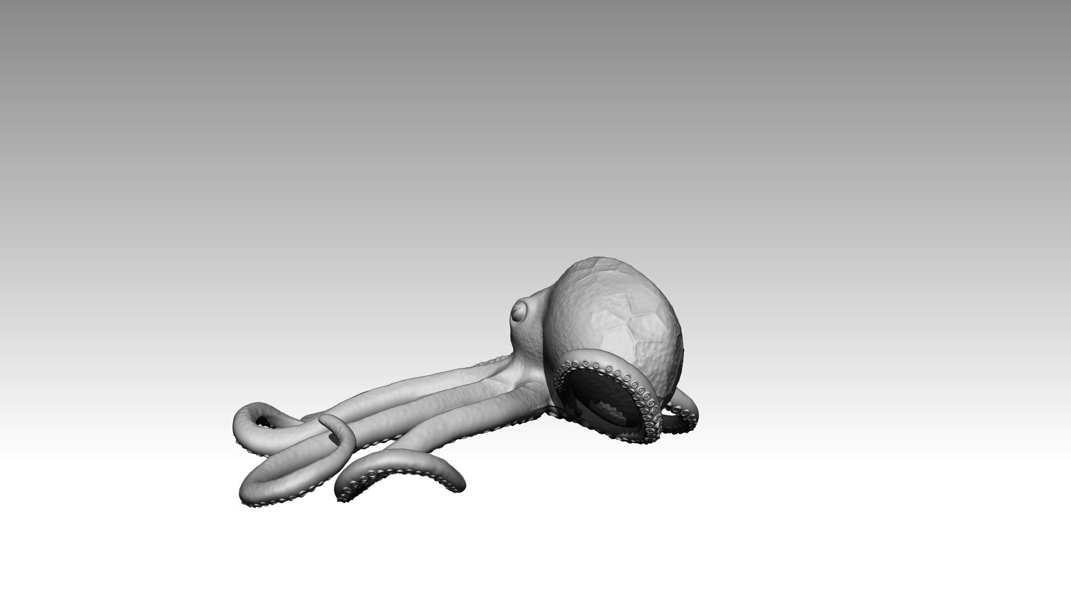 Octopus 3D print model_10