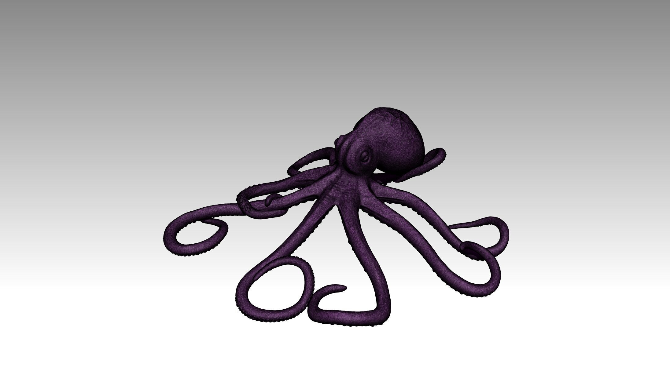 Octopus 3D print model_12