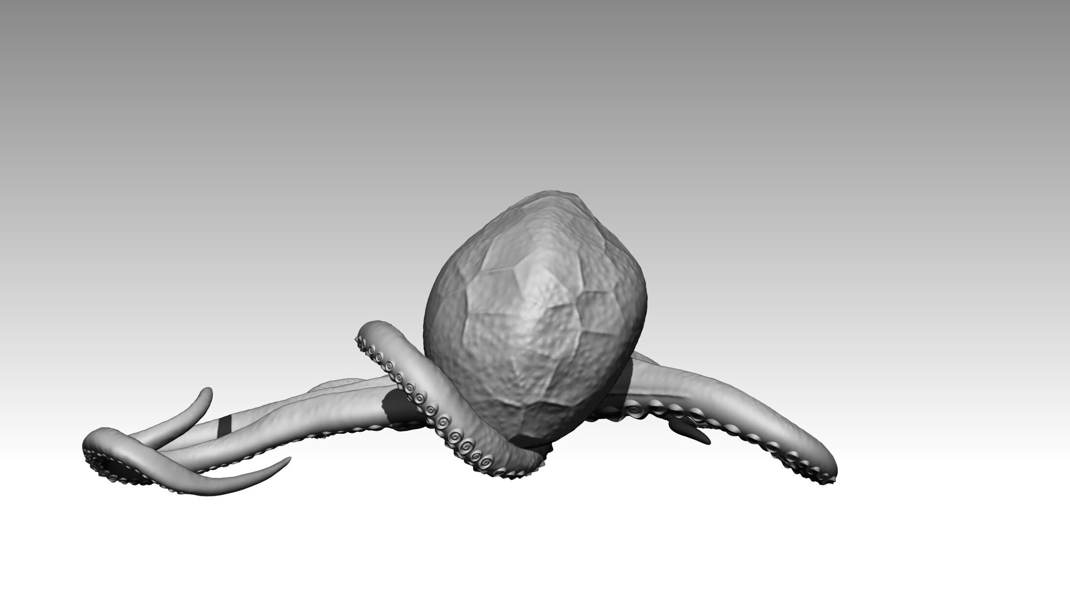 Octopus 3D print model_5