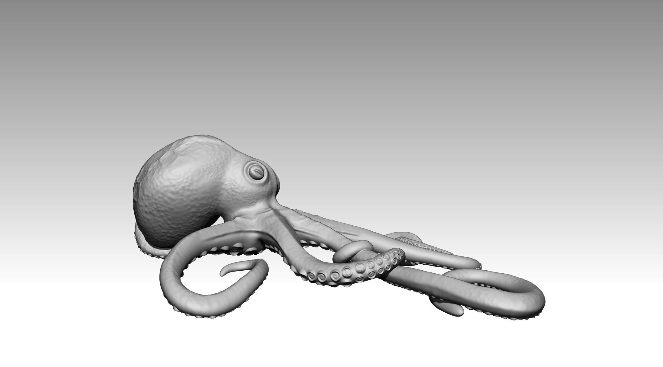 Octopus 3D print model_4