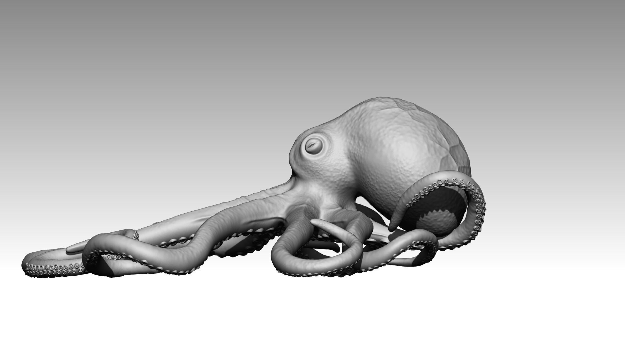 Octopus 3D print model_22