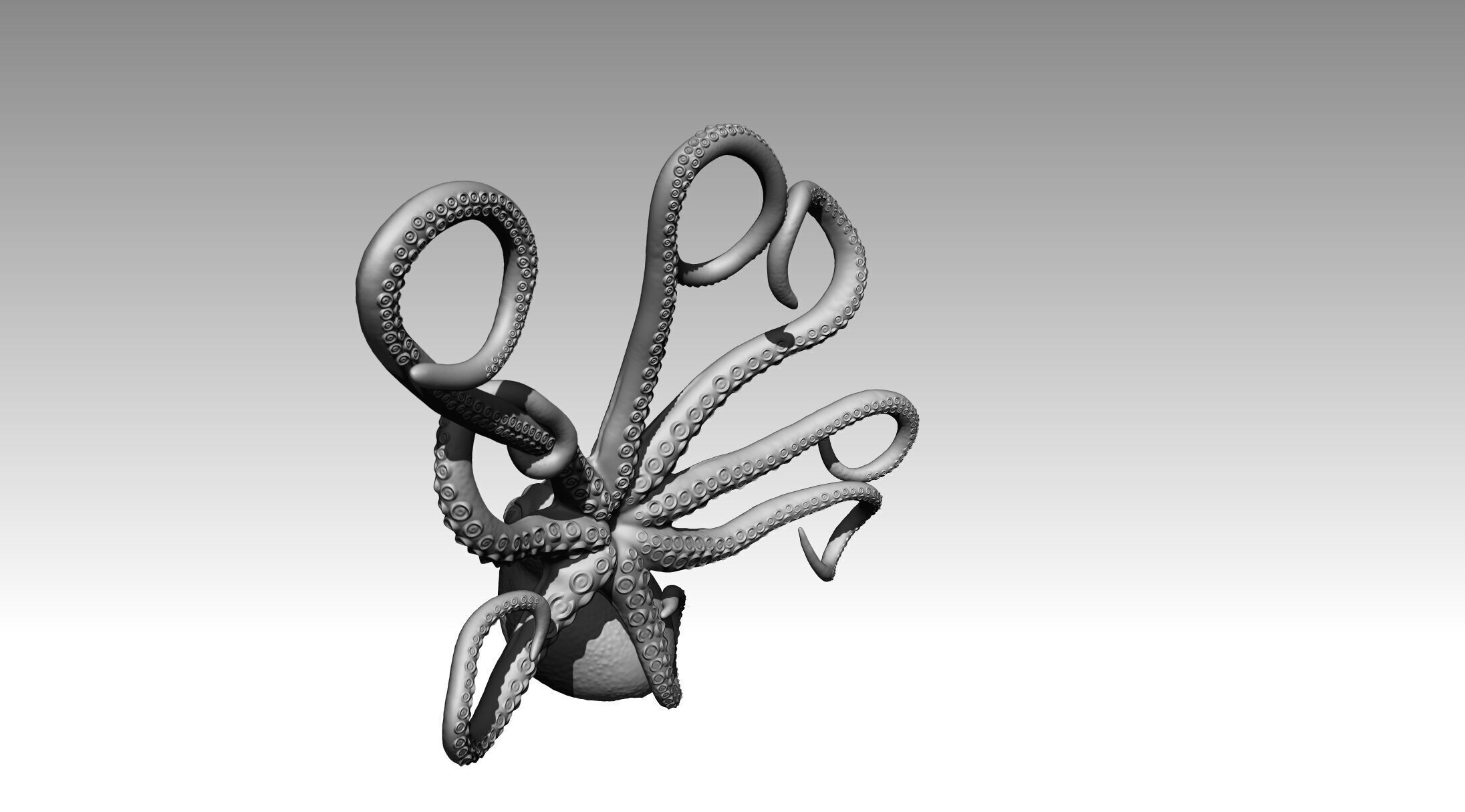 Octopus 3D print model_15