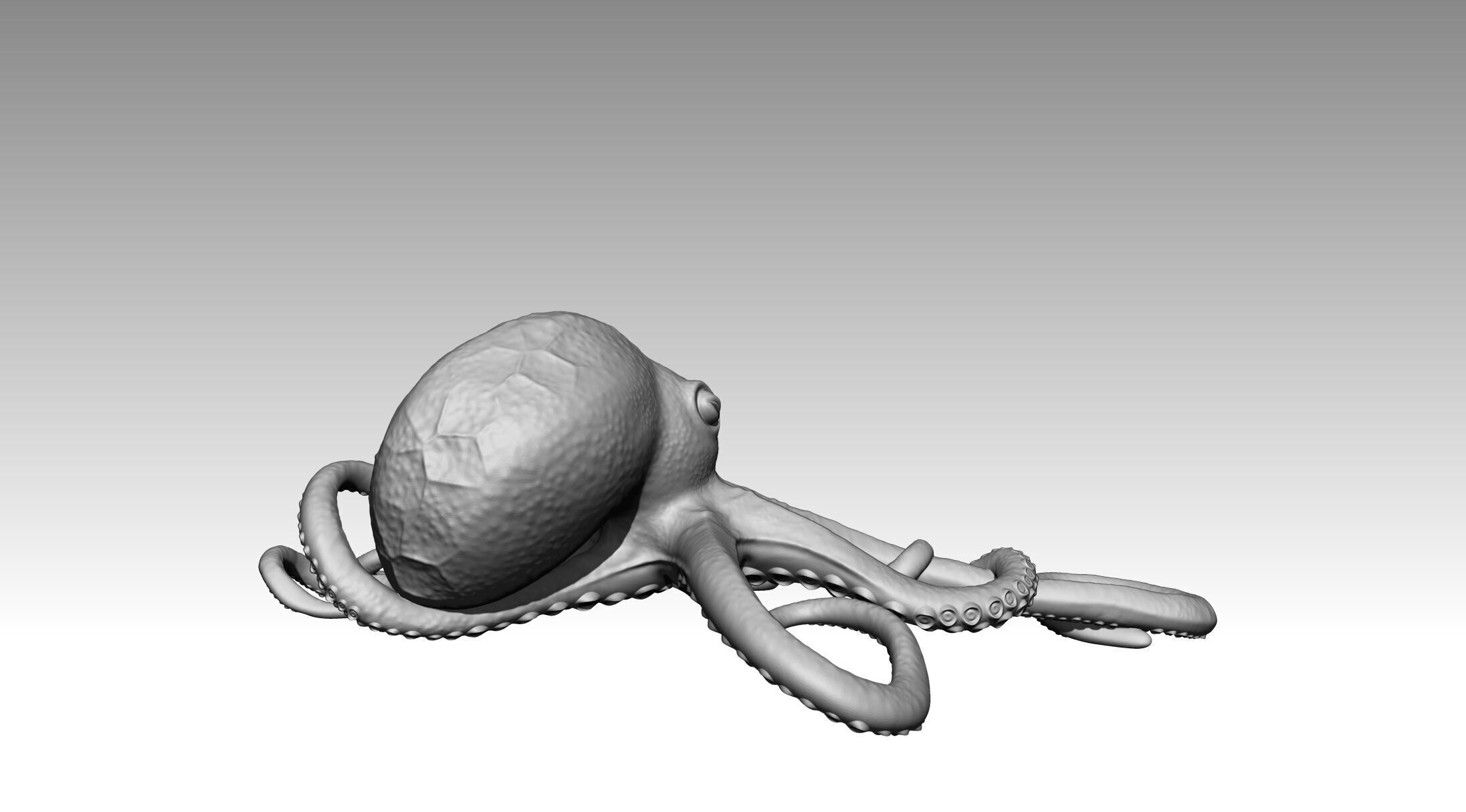 Octopus 3D print model_9
