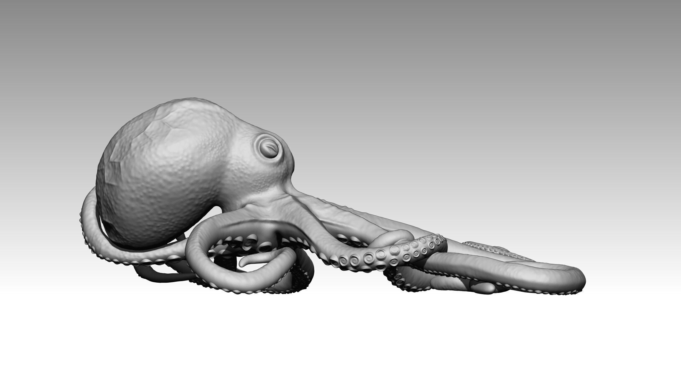 Octopus 3D print model_20