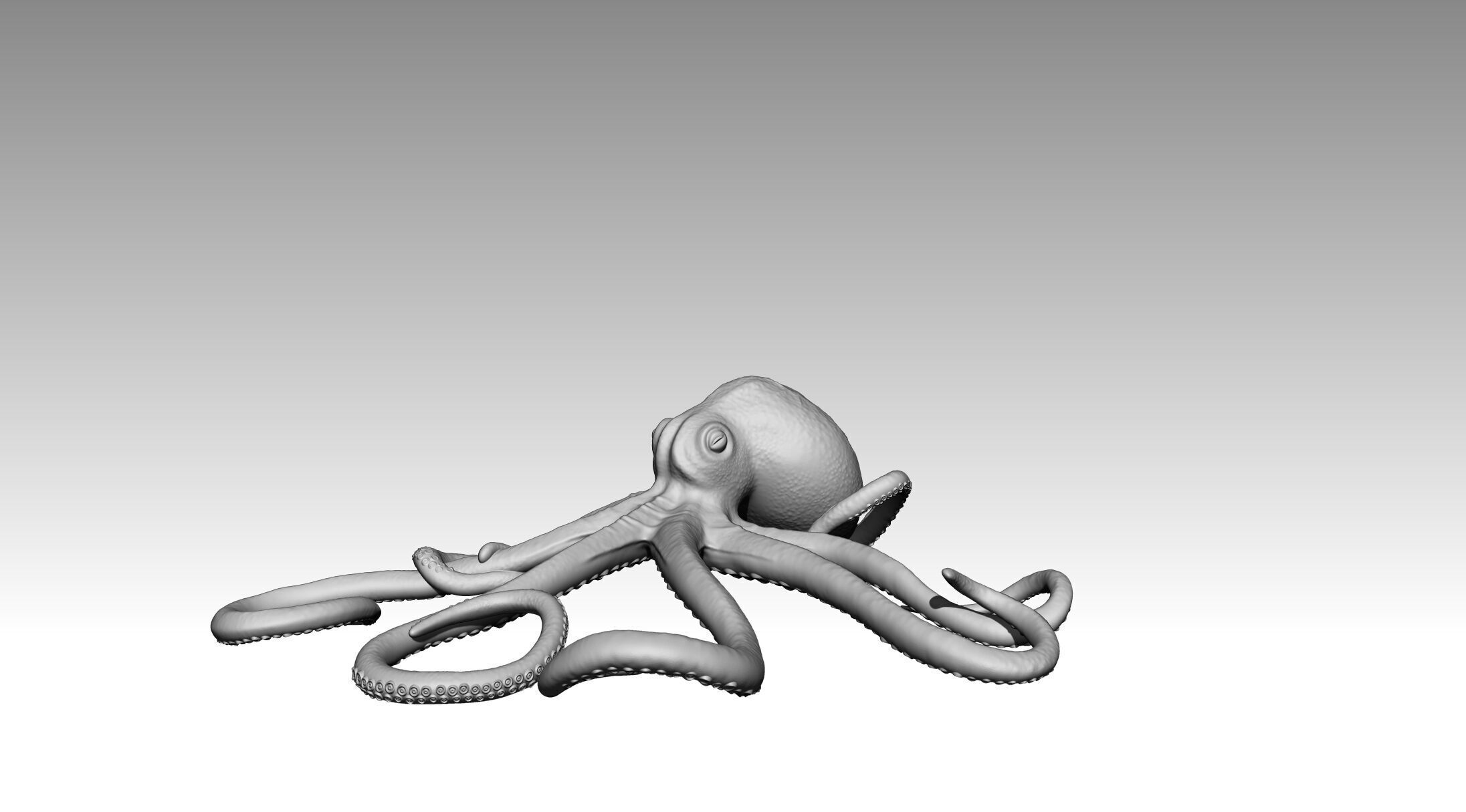 Octopus 3D print model_11