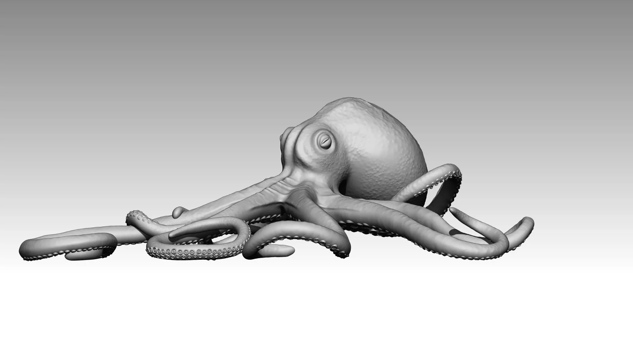 Octopus 3D print model_0