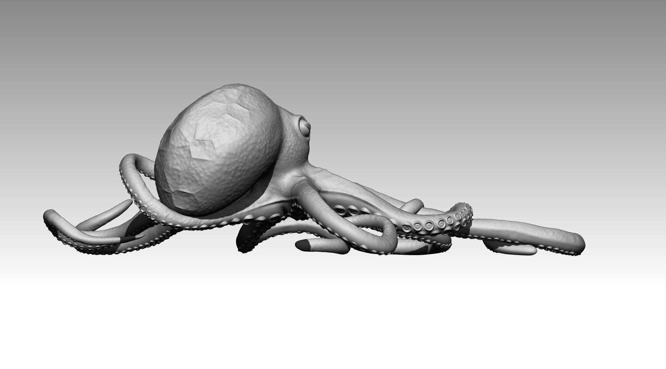 Octopus 3D print model_17
