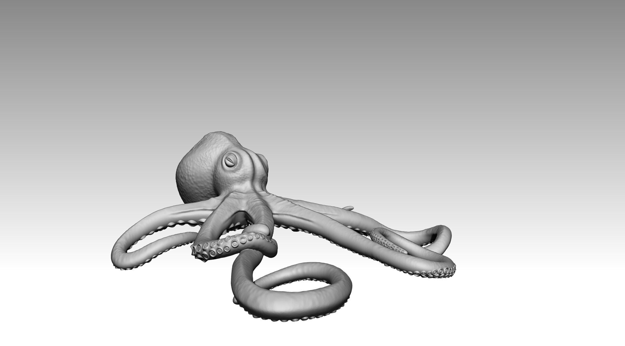 Octopus 3D print model_3