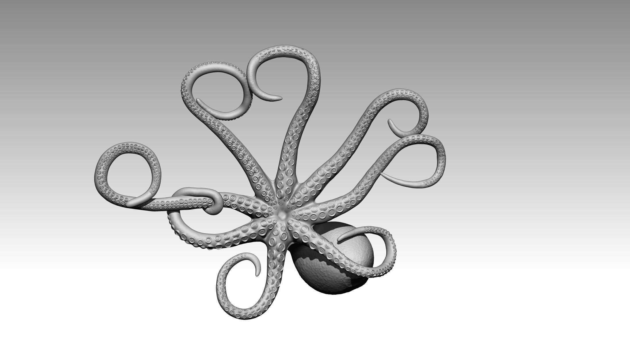 Octopus 3D print model_19