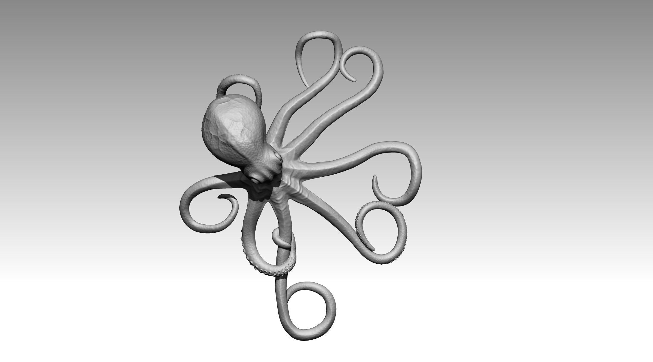 Octopus 3D print model_1