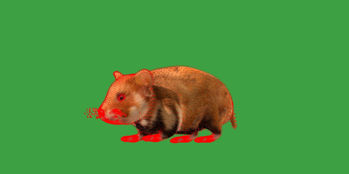 European Hamster Low-poly 3D model_22