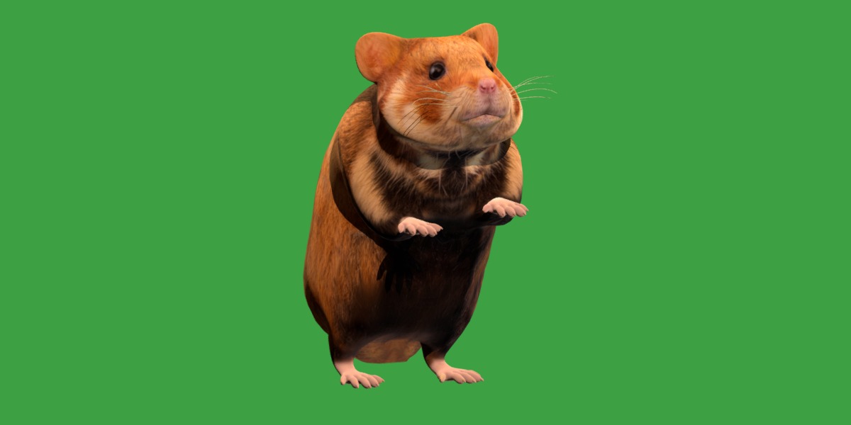 European Hamster Low-poly 3D model_30