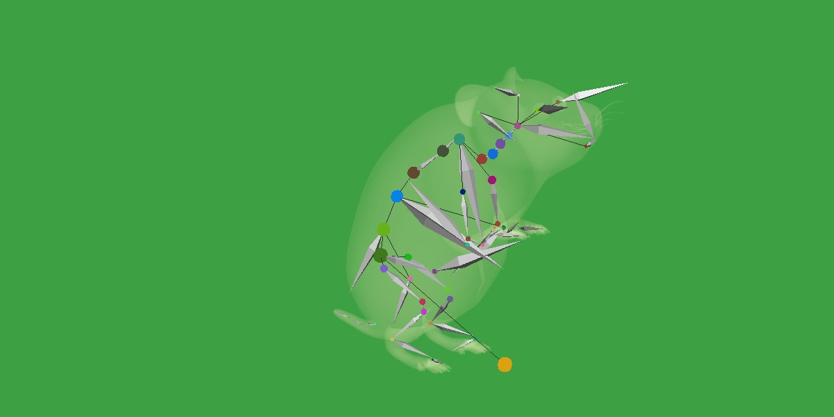 European Hamster Low-poly 3D model_15