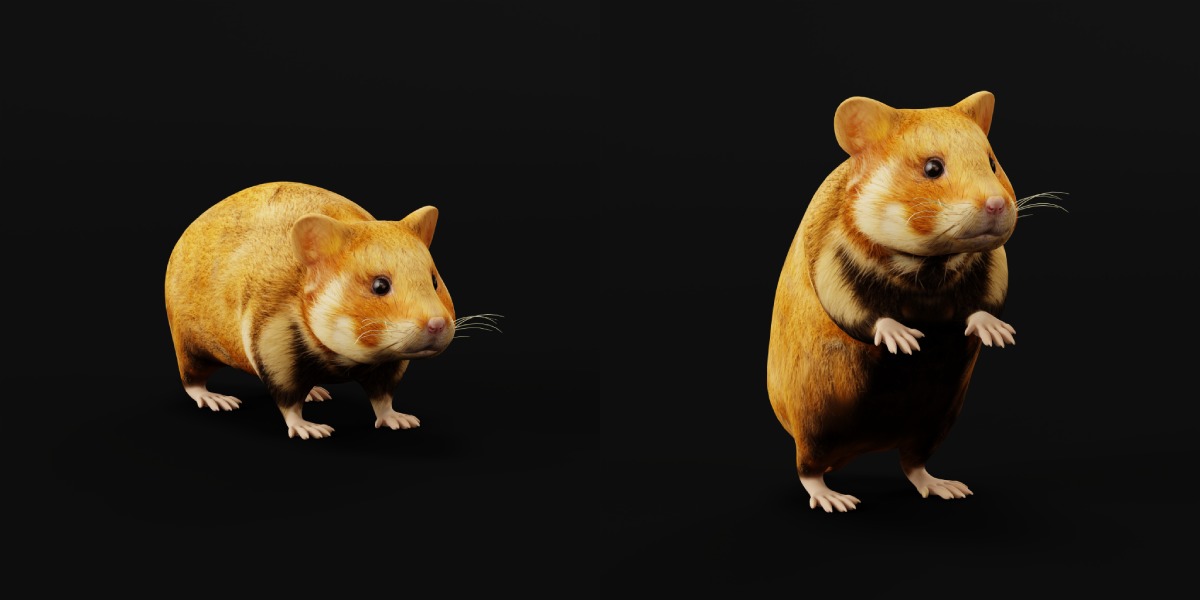 European Hamster Low-poly 3D model_31