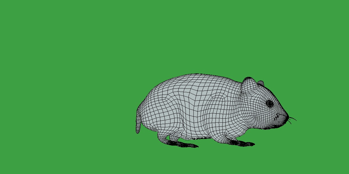 European Hamster Low-poly 3D model_20