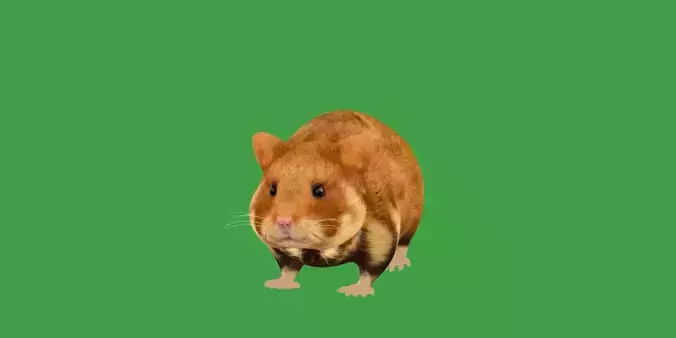 European Hamster Low-poly 3D model European Hamster Low-poly 3D model