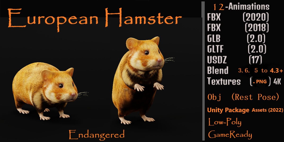 European Hamster Low-poly 3D model_2