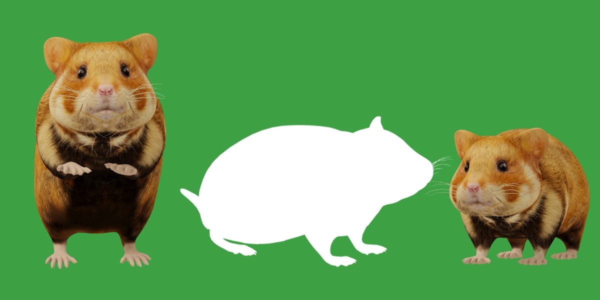 European Hamster Low-poly 3D model_9
