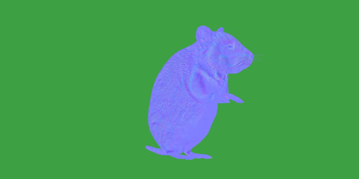European Hamster Low-poly 3D model_11