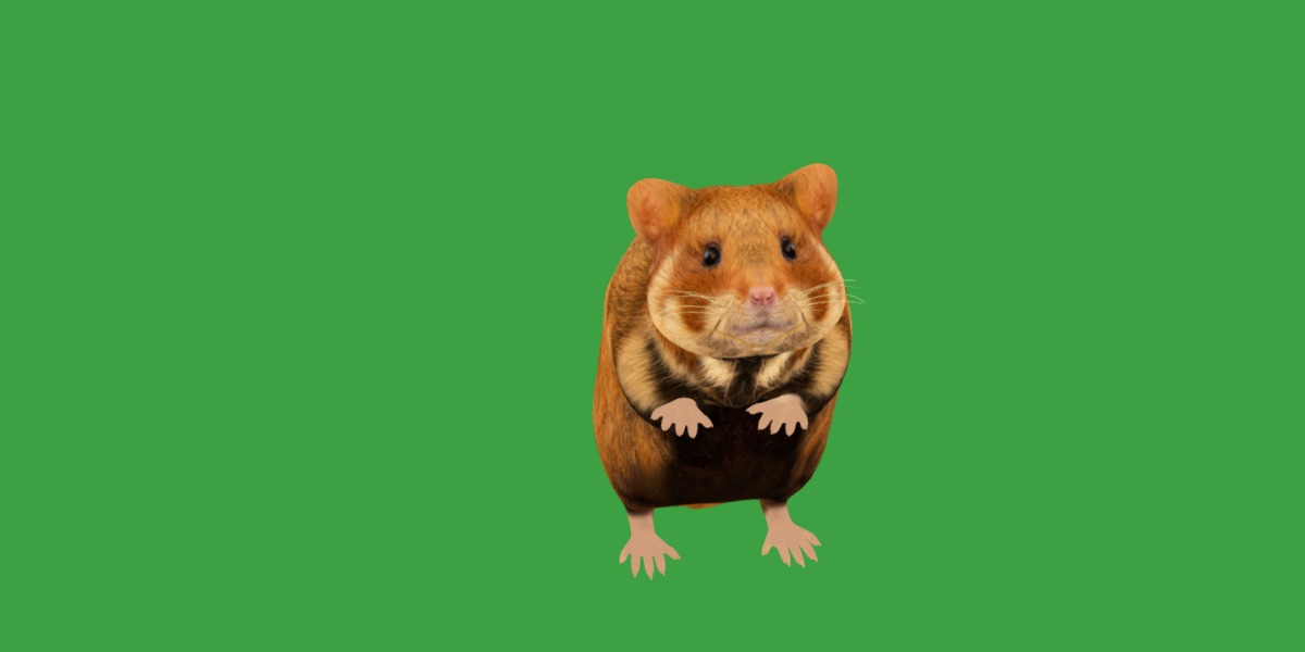 European Hamster Low-poly 3D model_14