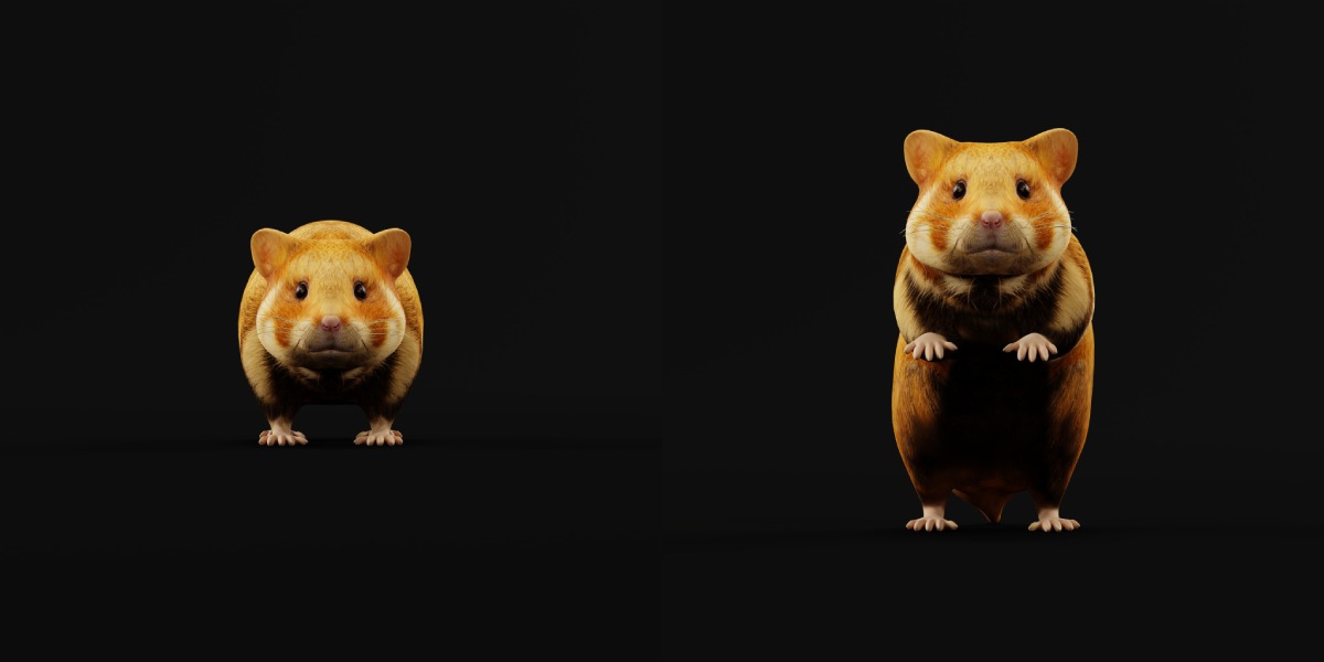 European Hamster Low-poly 3D model_13