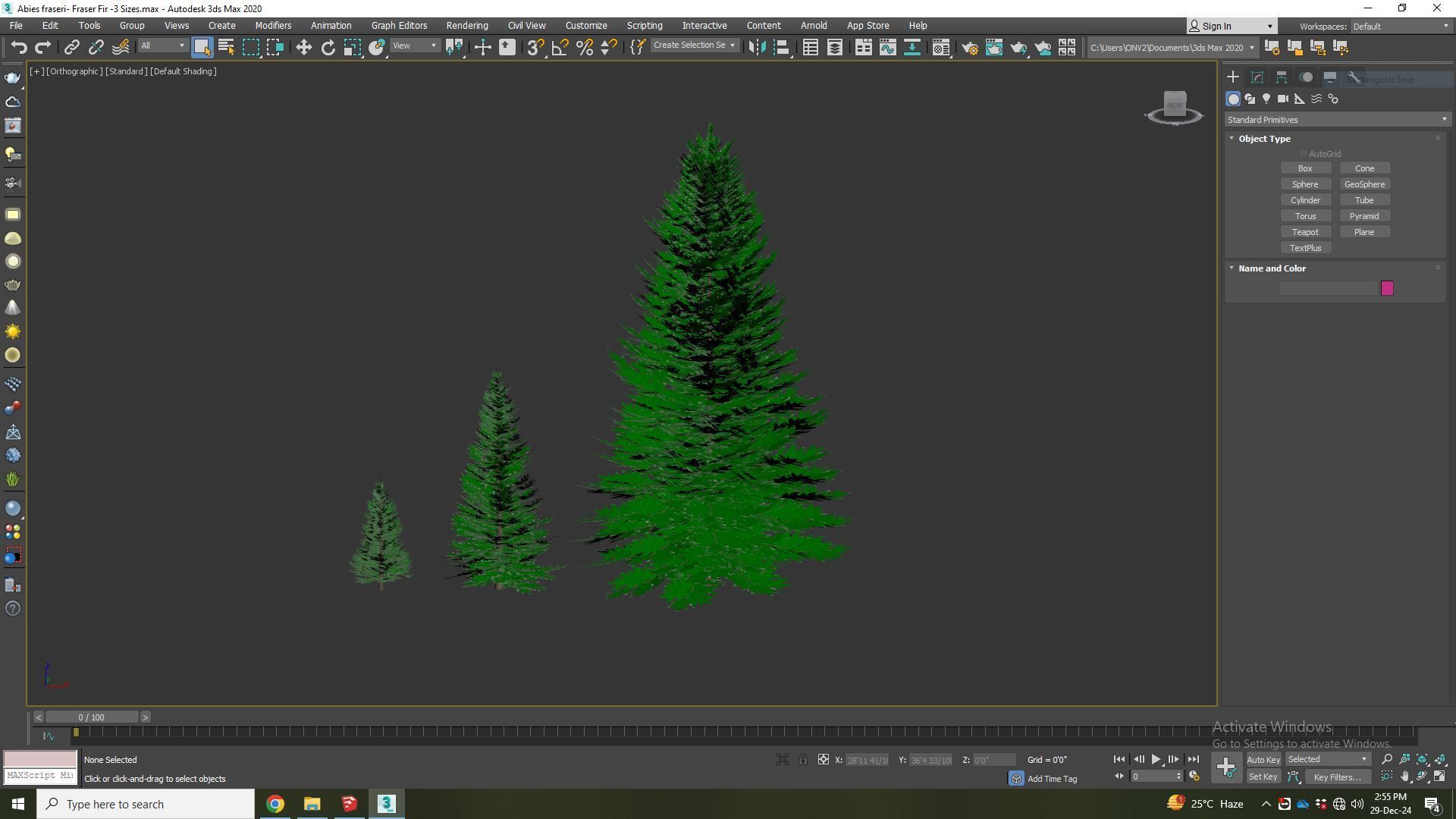  Plant  Abies fraseri- Fraser Fir 3D model_7