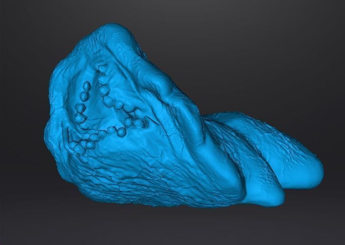 REREV GLOBSTER MONSTER MINIATURE MODEL HORROR FANTASY GAMES RPG 3D print model_10