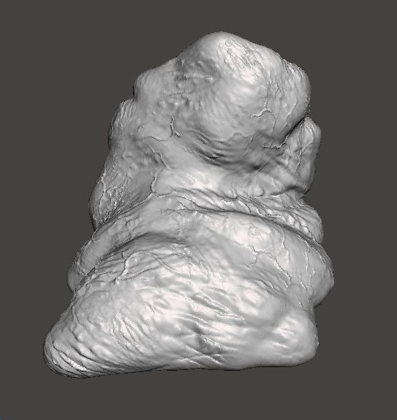 REREV GLOBSTER MONSTER MINIATURE MODEL HORROR FANTASY GAMES RPG 3D print model_6