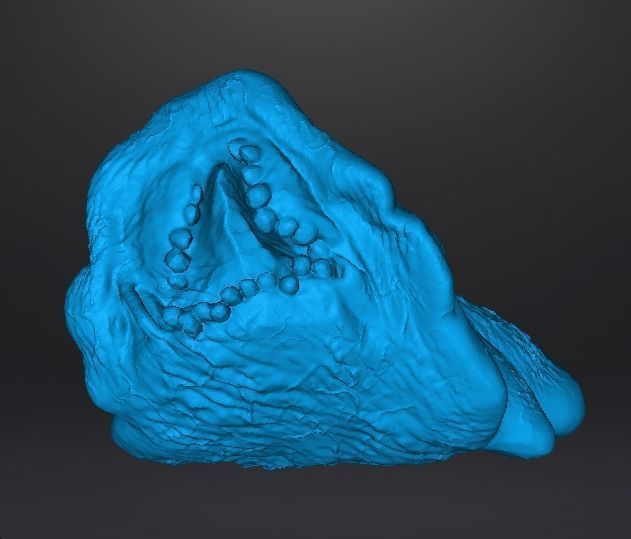 REREV GLOBSTER MONSTER MINIATURE MODEL HORROR FANTASY GAMES RPG 3D print model_9