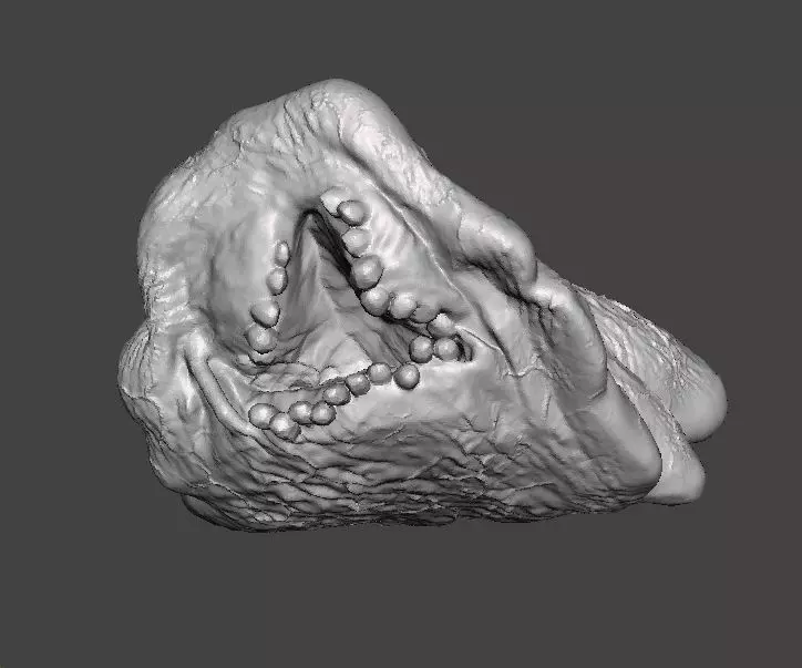 REREV GLOBSTER MONSTER MINIATURE MODEL HORROR FANTASY GAMES RPG 3D print model_0
