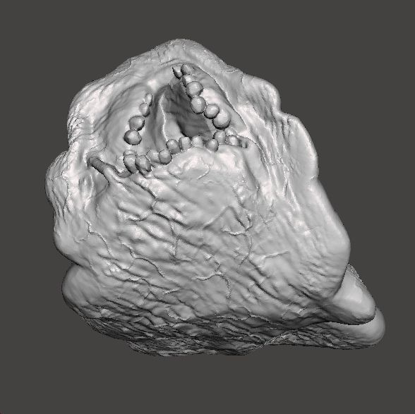 REREV GLOBSTER MONSTER MINIATURE MODEL HORROR FANTASY GAMES RPG 3D print model_8