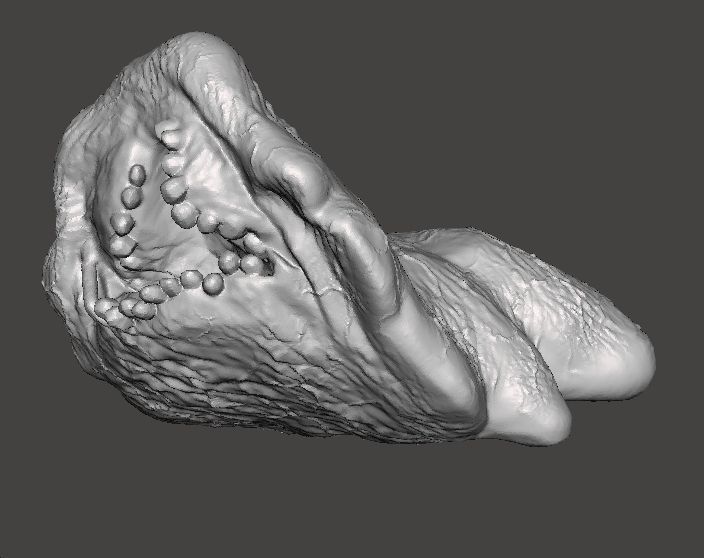 REREV GLOBSTER MONSTER MINIATURE MODEL HORROR FANTASY GAMES RPG 3D print model_3