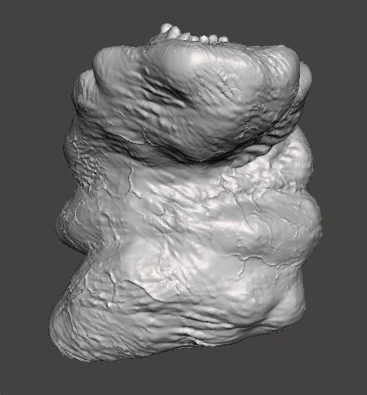 REREV GLOBSTER MONSTER MINIATURE MODEL HORROR FANTASY GAMES RPG 3D print model_7