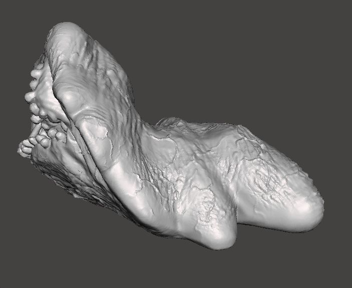 REREV GLOBSTER MONSTER MINIATURE MODEL HORROR FANTASY GAMES RPG 3D print model_4