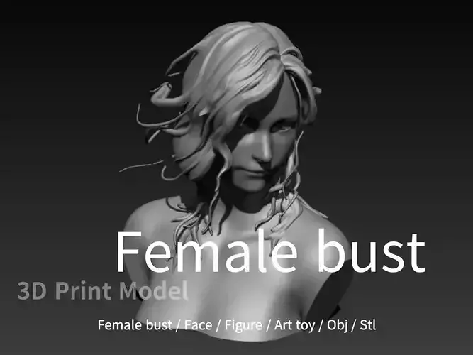 female bust 02
