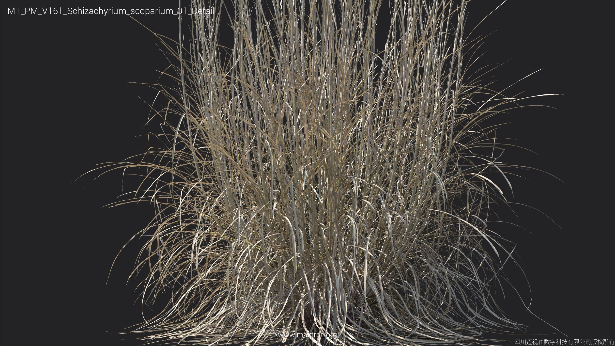 Maxtree Plant Models Vol 161 - Mesh 3D model_34