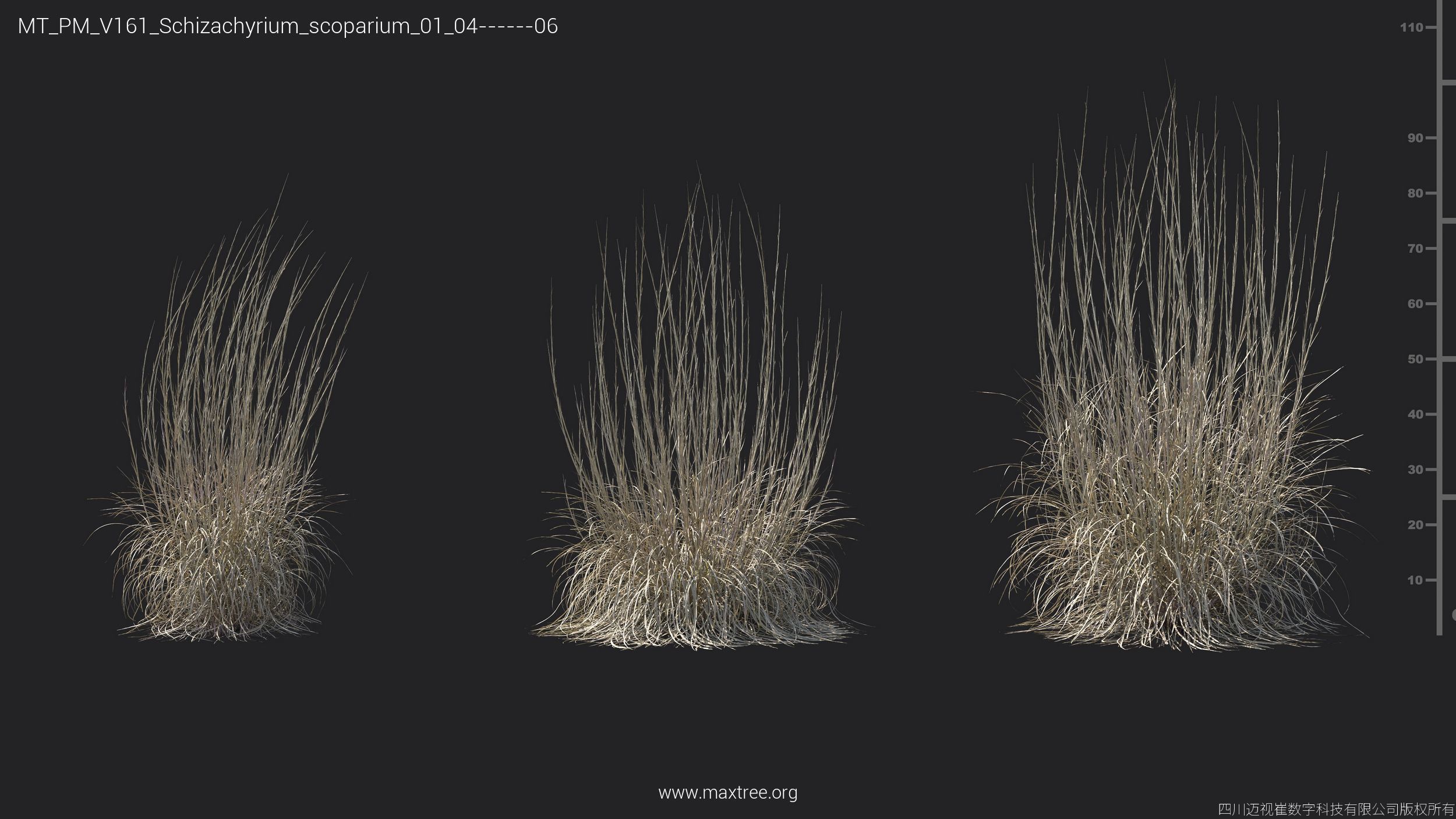 Maxtree Plant Models Vol 161 - Mesh 3D model_33