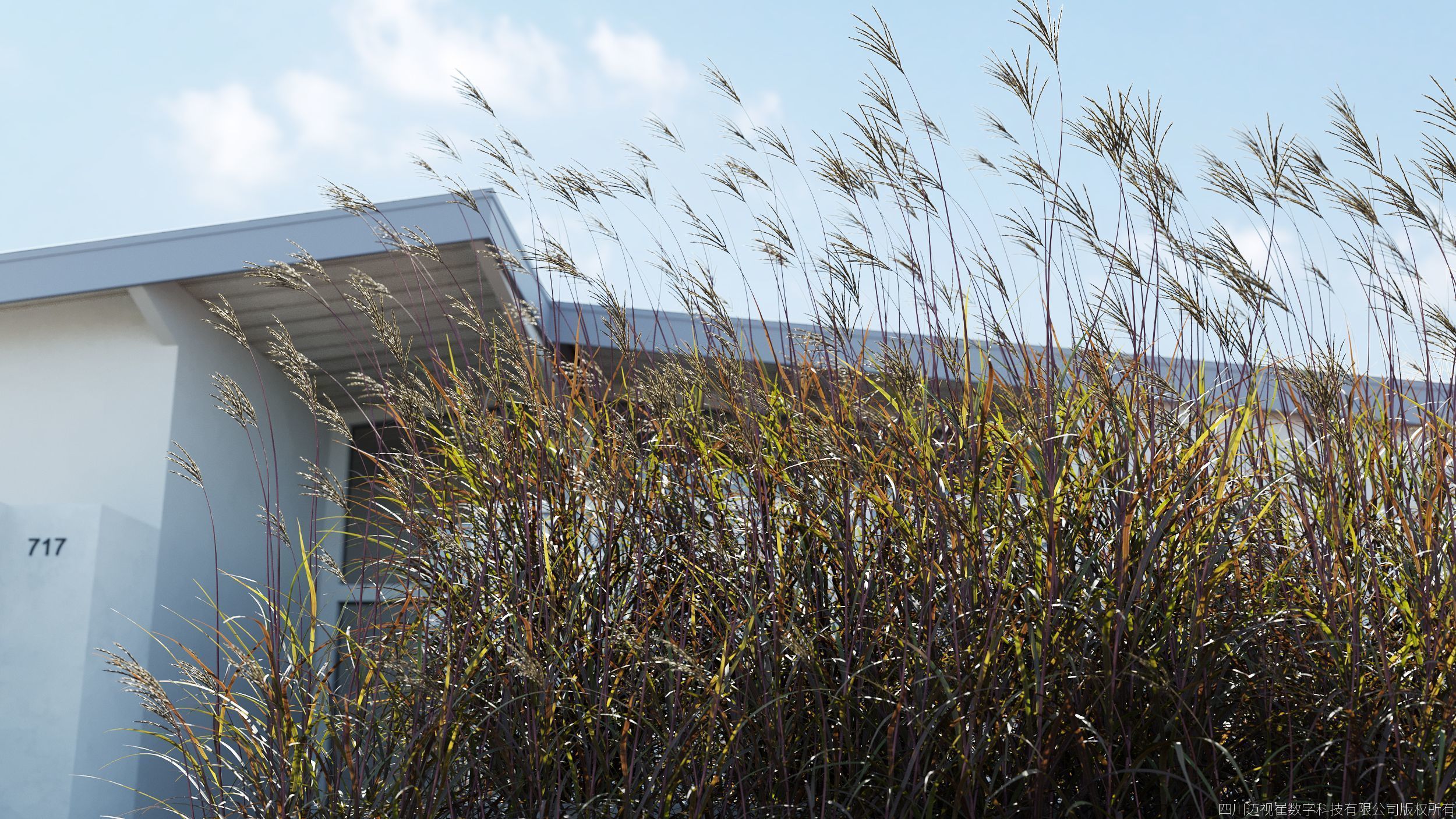 Maxtree Plant Models Vol 161 - Mesh 3D model_3