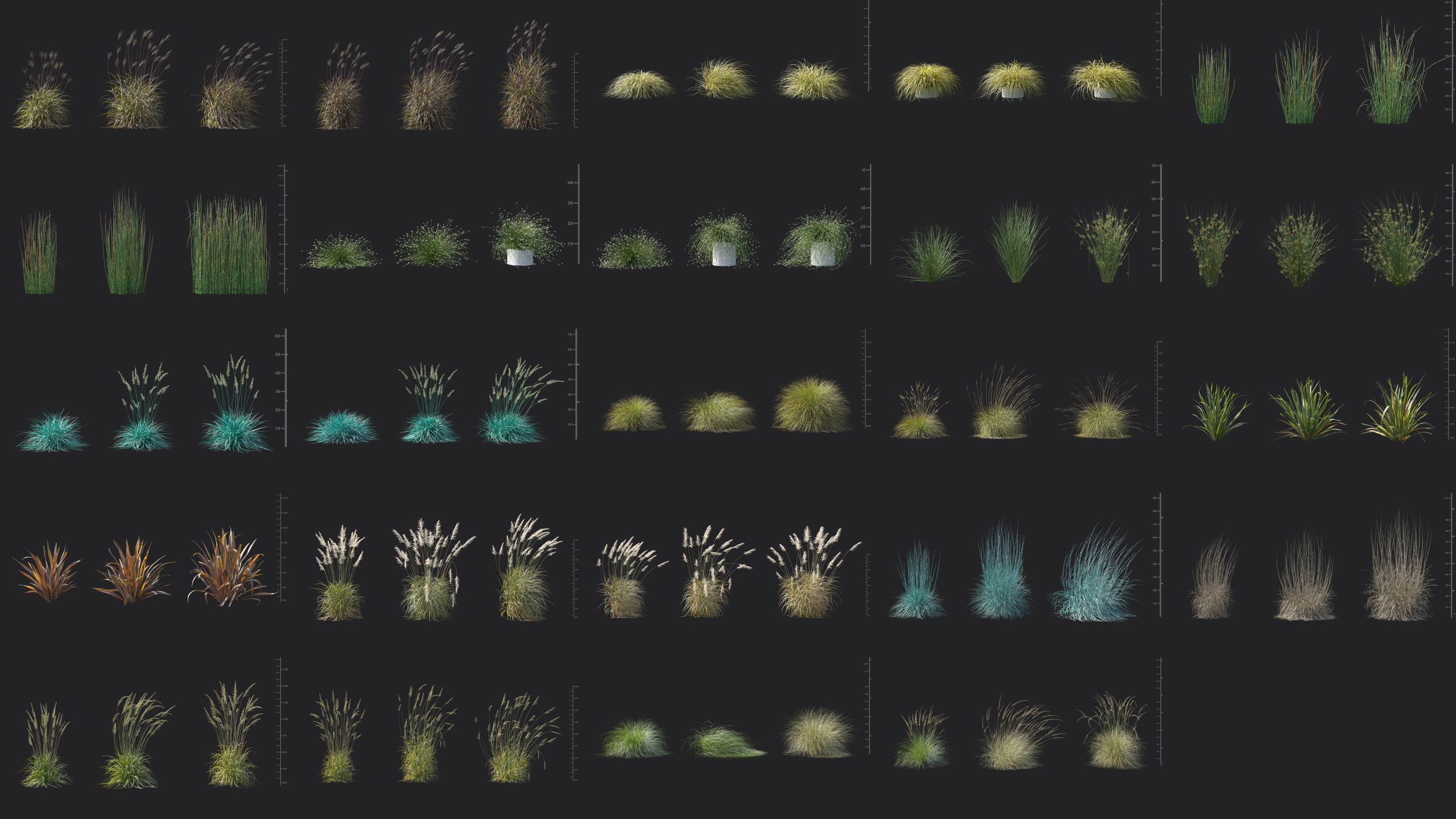 Maxtree Plant Models Vol 161 - Mesh 3D model_4