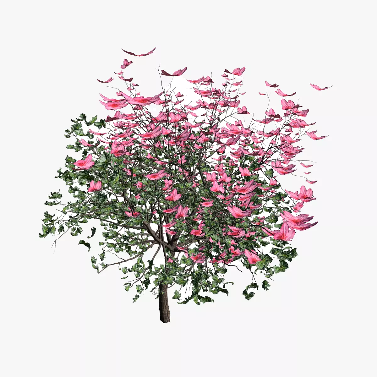 Forest Azalea plant 3D model_0