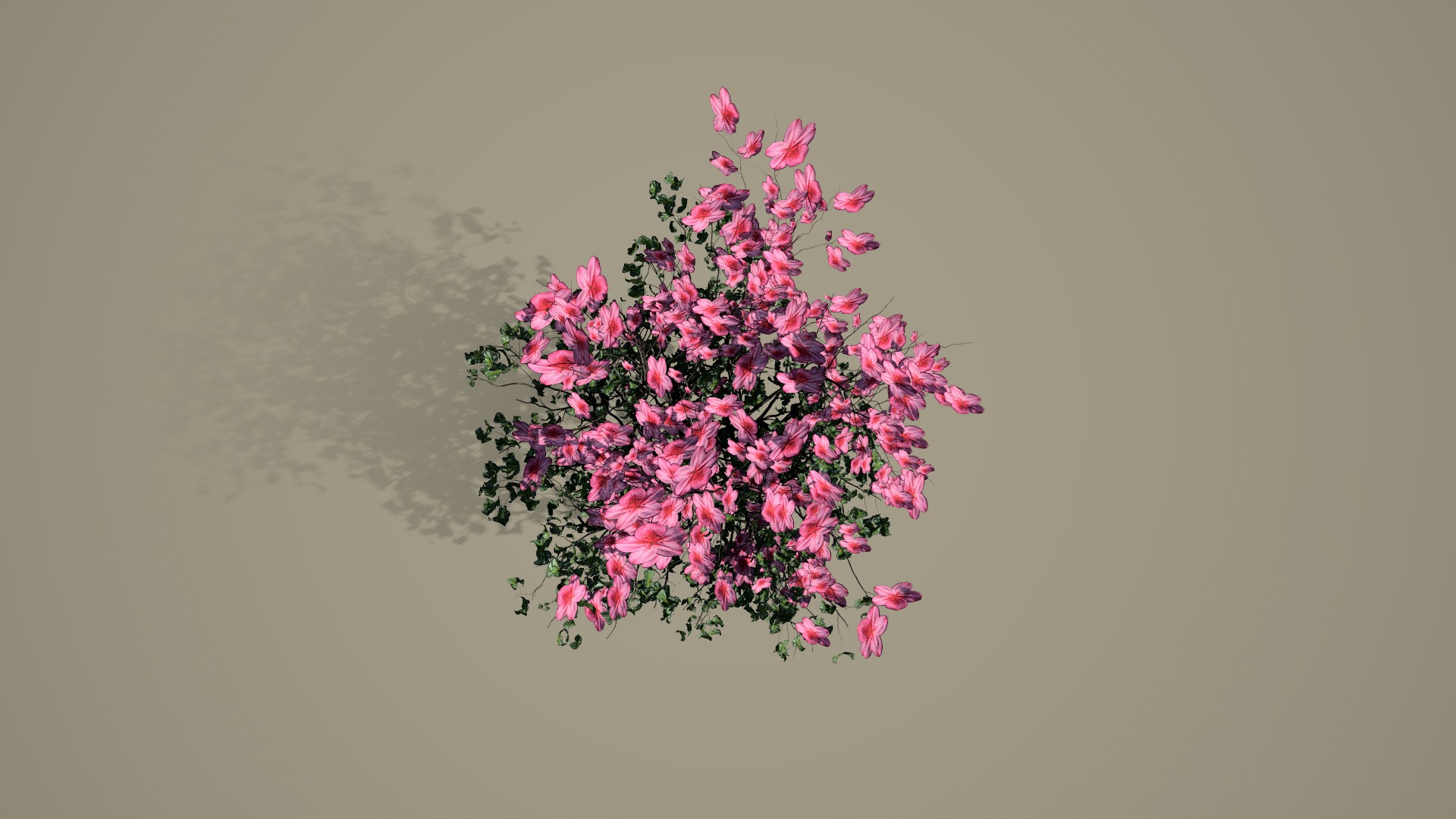Forest Azalea plant 3D model_4