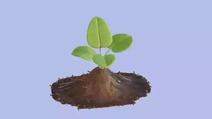 Roots Emerging from Ground realistic