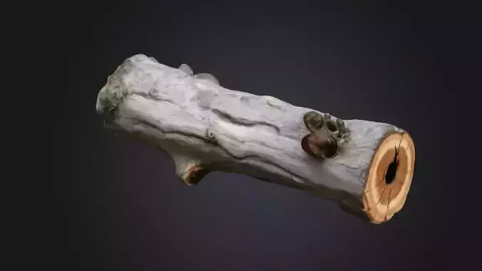 Fallen Tree Trunk-3 3d Game ready Model
