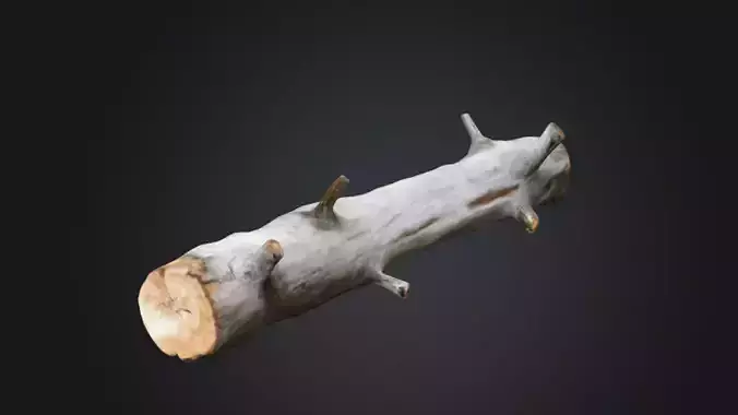 Fallen Tree Trunk-2 3d Game ready Model