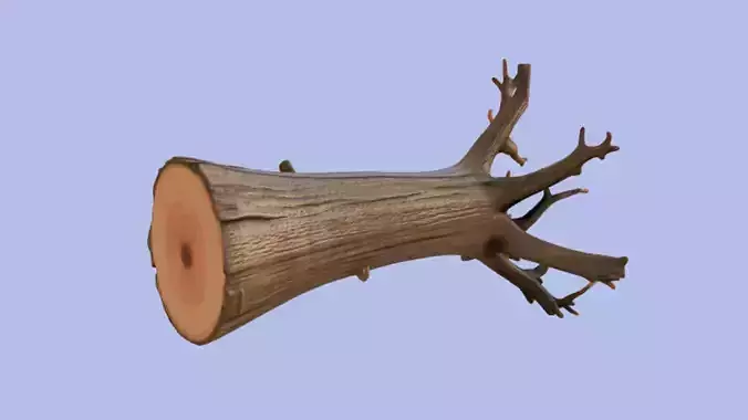 Fallen Tree Trunk realistic-2